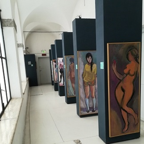Il Museo della città "Lin Delija - Carlo Cesi"
